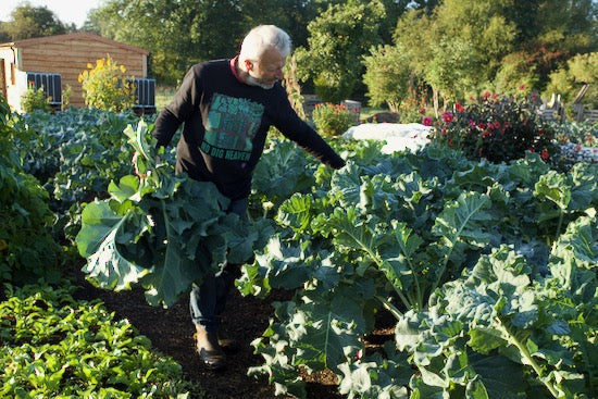 October 2021 Autumn arrives with transplanting more vegetables, seed saving, mulching weeds in asparagus, saving time