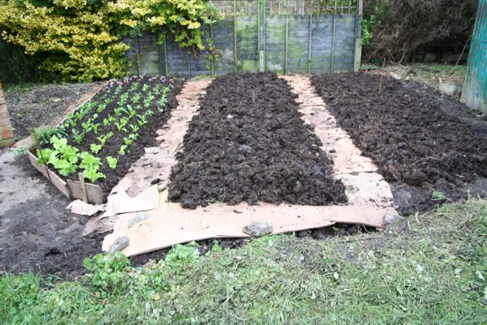 Small Garden Advice