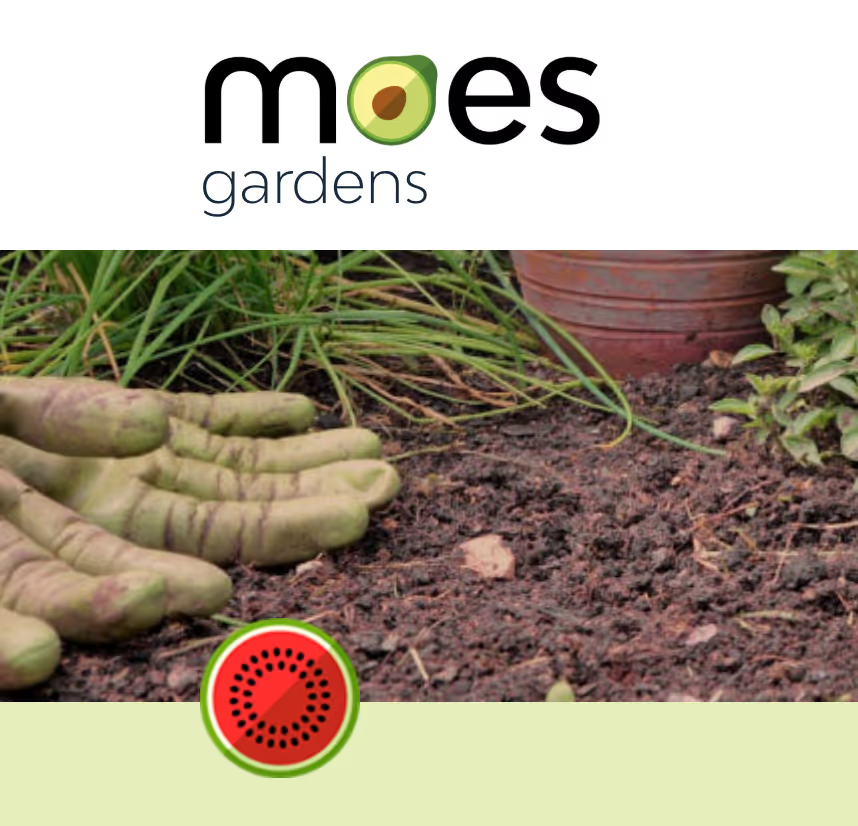 Two separate practical worshops and talks in one day at MOES Gardens, Amstelveen, Netherlands