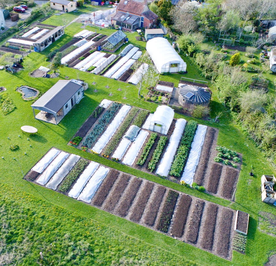 Spring Sowings Have Time to Catch Up