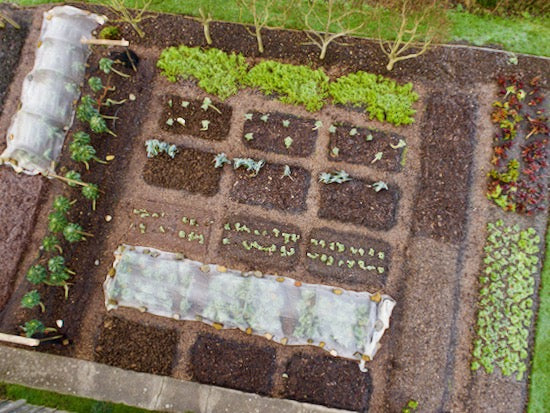 February 2022 how and when to sow, compost for no dig, trial results, mesofauna, pond creation