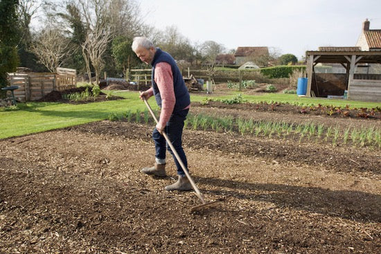 March 2022 mega – no dig and timings, bed prep, new trays, new bargain bundle, varied germination, compost and compost c