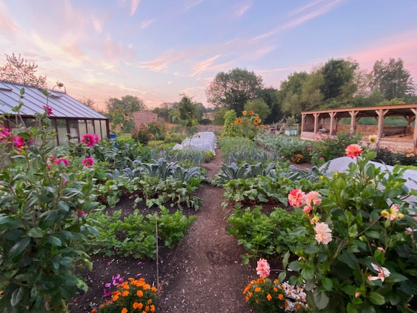 September 2022 no dig tomatoes, interplants, aphids, melons, make compost, sowing dates and rye bread