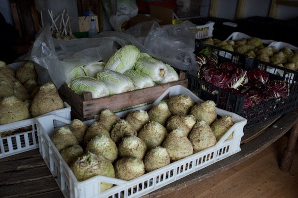 December 2022 no dig winter prep, compost and polytunnel, store veg, warm autumn and pests, Cookbook