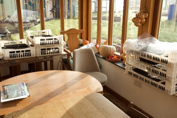 Mid February let propagation begin 🌱