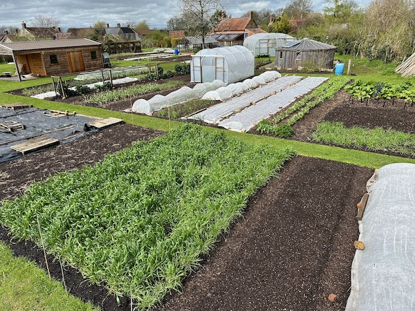 Many sowings as weather improves in April’s second half