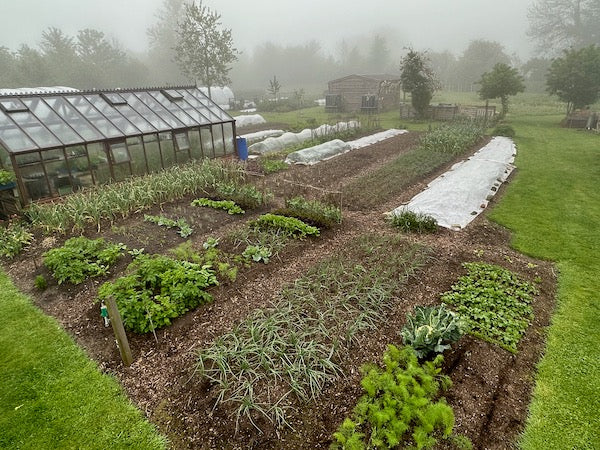 Spring unfolds to summer, May’s second half
