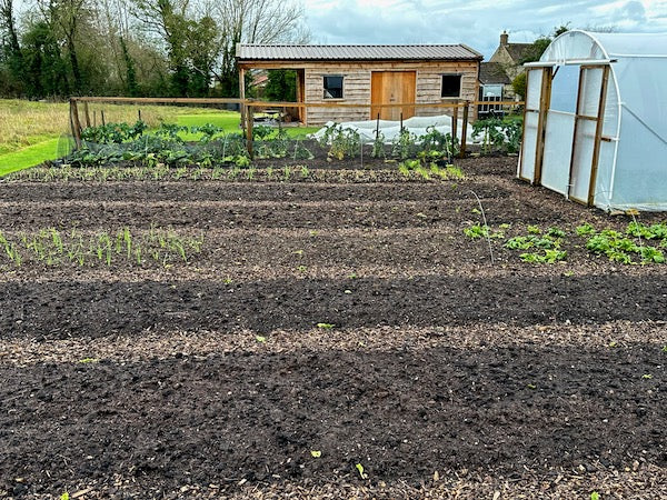 Mid January 2023, be ready for the season