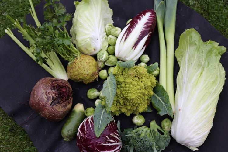 November 2019 clear asparagus, many hearts to harvest, sow broad beans, salads growing, make a bed