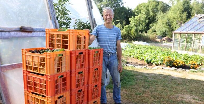 August 18 watering, second crop, no dig mulch, diseases & pests, new sowings, onion harvests