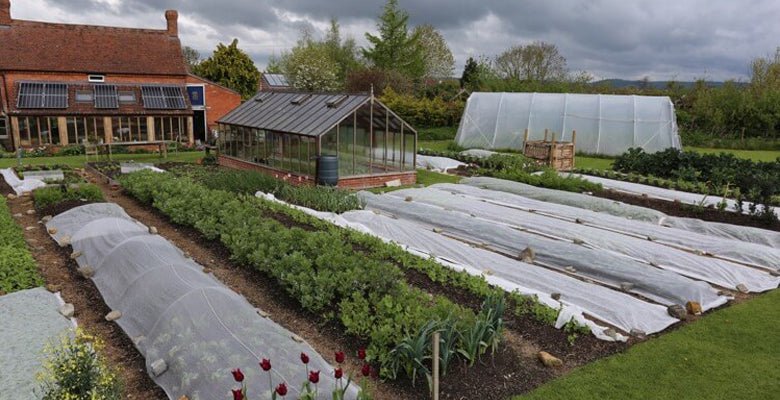 May 2018 uncover beds, potting compost & no dig trials, sowing & planting