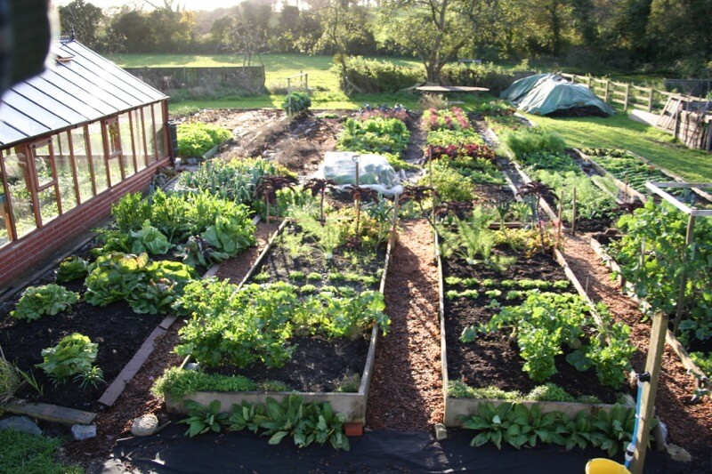 December 2017 trial results, storing veg for winter, compost mulches, no dig success and winning awards