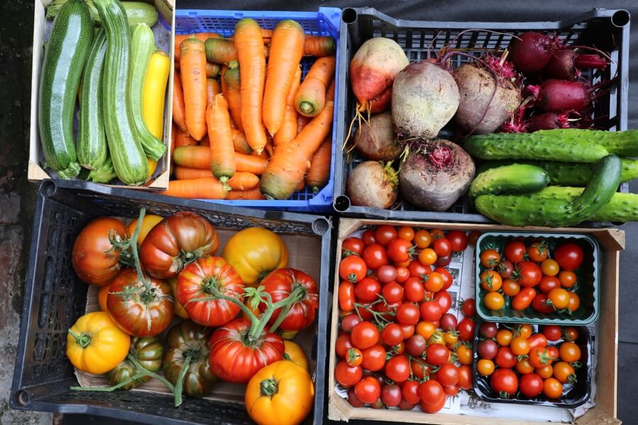 August '17 update: colours, sowing tips, why so few weeds, video advice