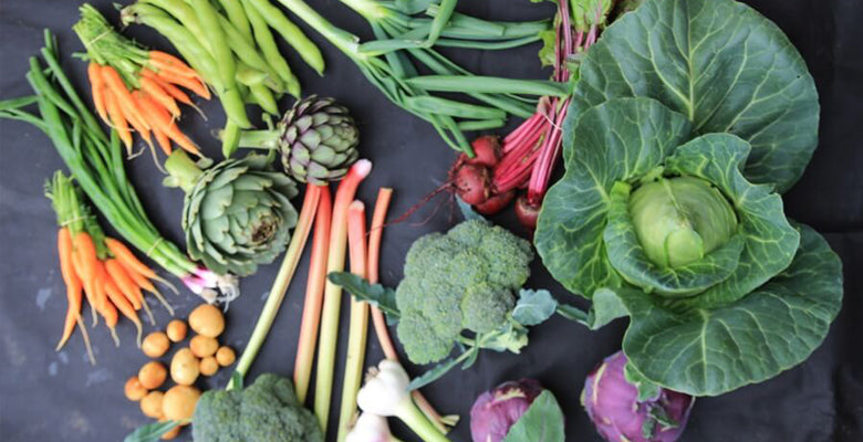 June update: watering, sow broccoli etc, harvests inc. garlic, new videos, no dig successes