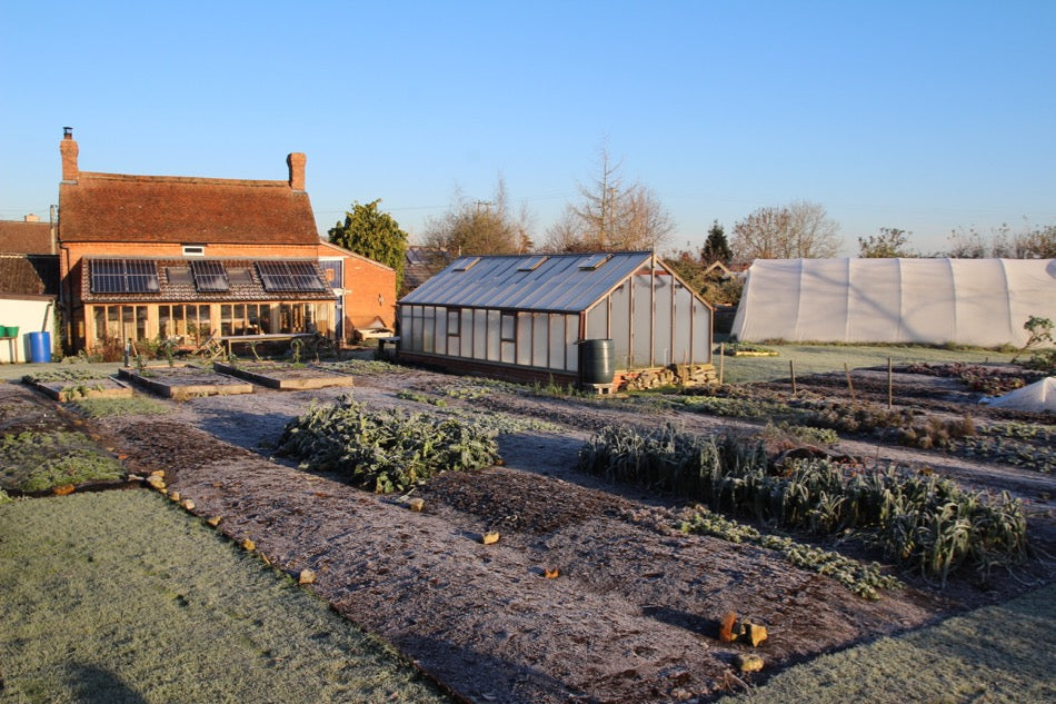 Dec. 2016 winter veg, harvests, no dig success and starting out