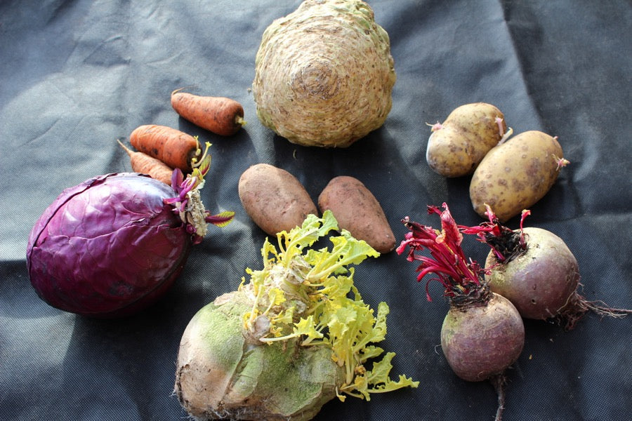 Midwinter update January 22nd