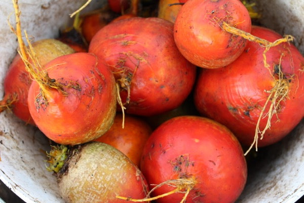 Veg growing December '15