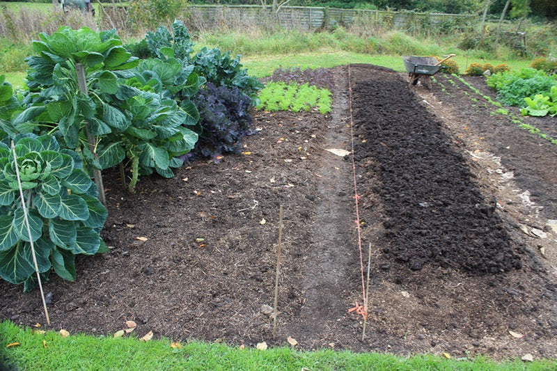 Veg growing November '15