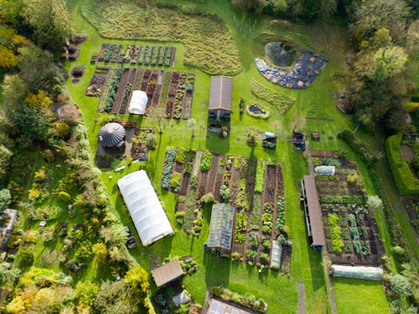 Mid November, fast compost one turn, mild autumn, trial results 2023