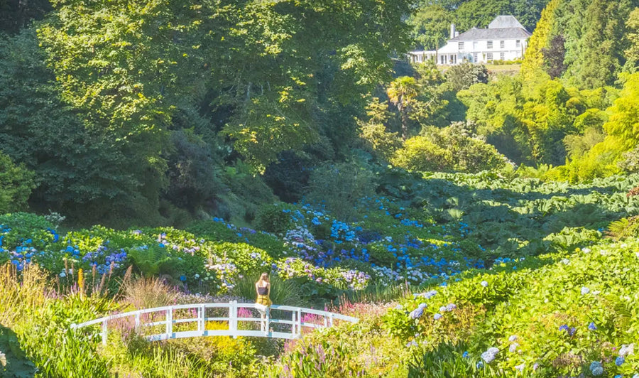 Trebah Gardens Early Evening Talks