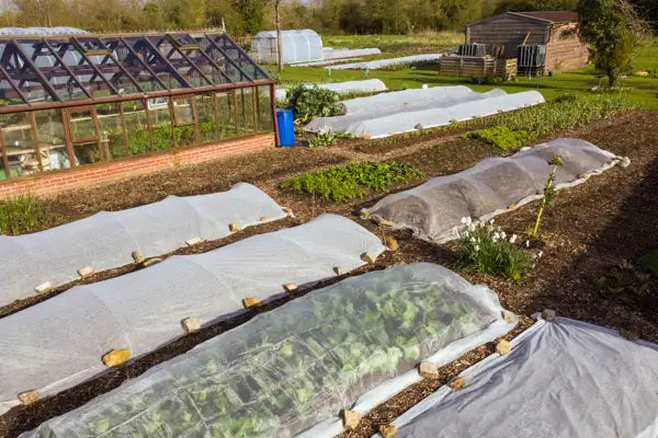 April 2024 no dig helps with drainage, harvests and sowings