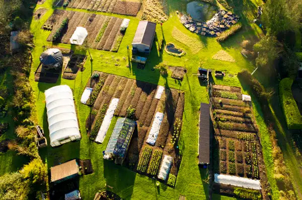 Mid-February transition 2024