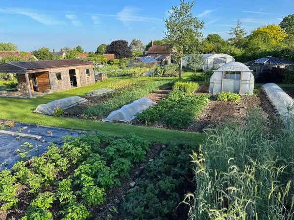 June 2024 Seeds weeds harvests