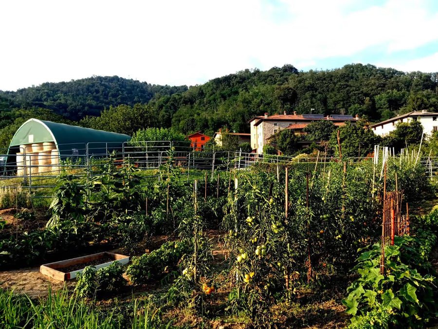 Workshop in Bergamo, Italy
