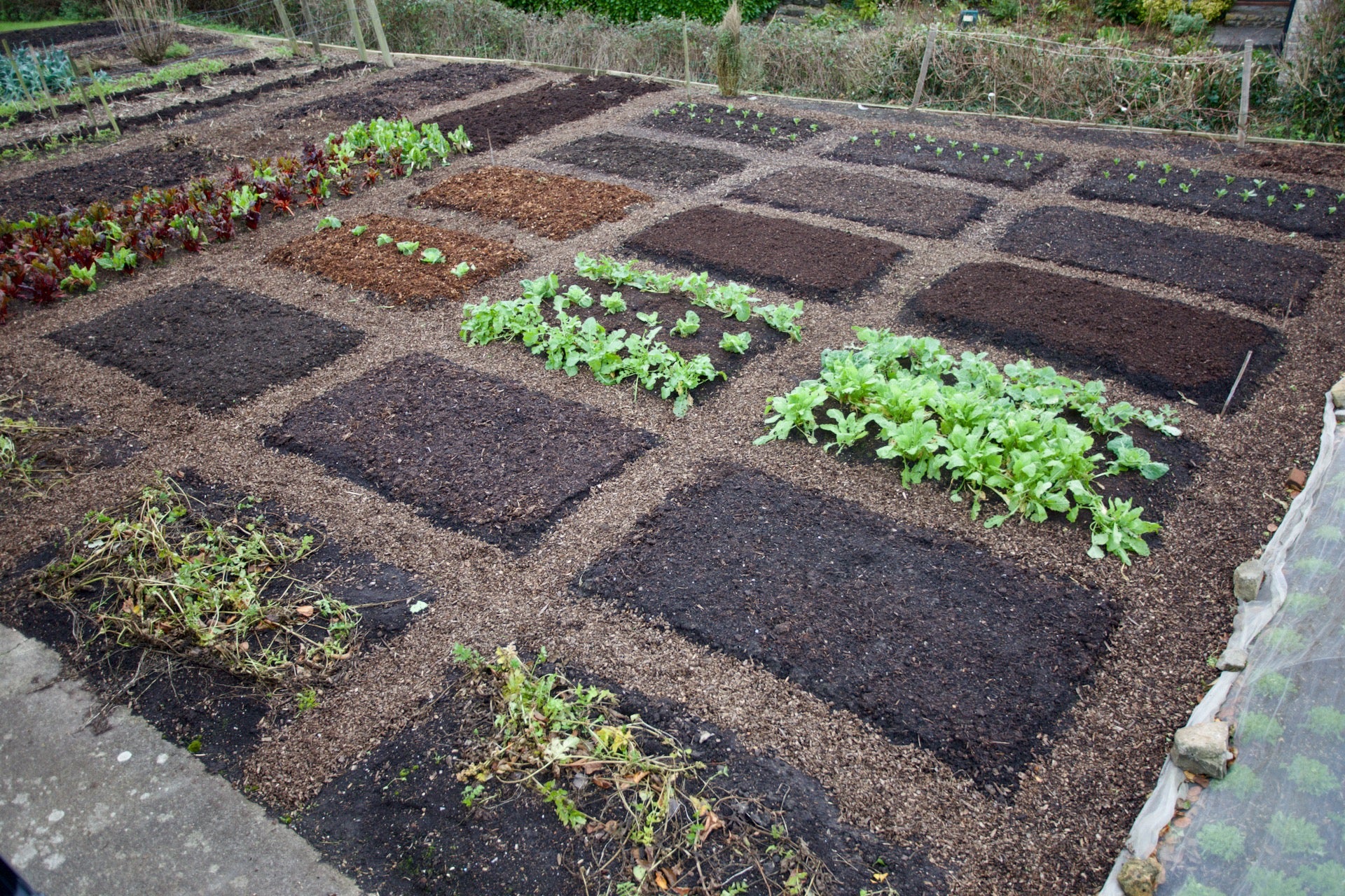 Winter Solstice 2024