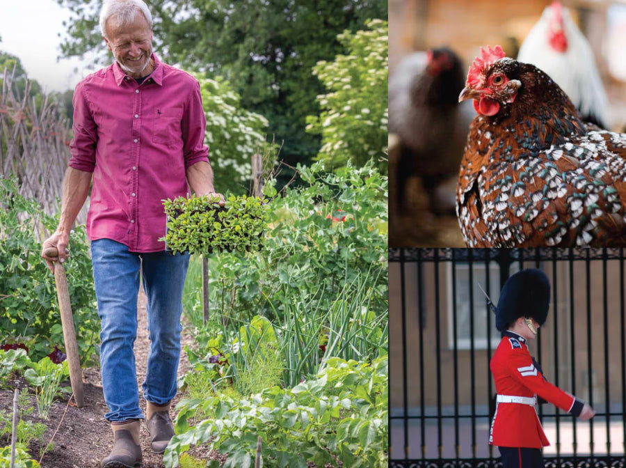 Visit Homeacres as part of a tour - England Gardening & Homesteading Tour, in partnership with McMurray Hatchery