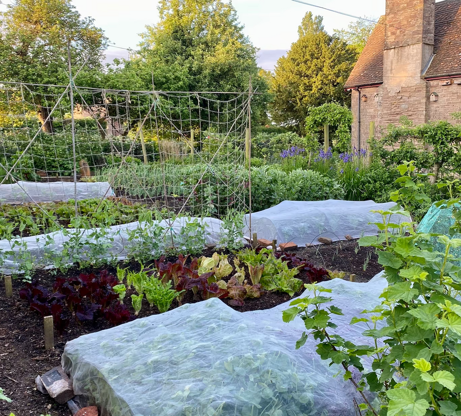 A workshop hosted at Cherry Taylor’s no dig garden in Monmouthshire