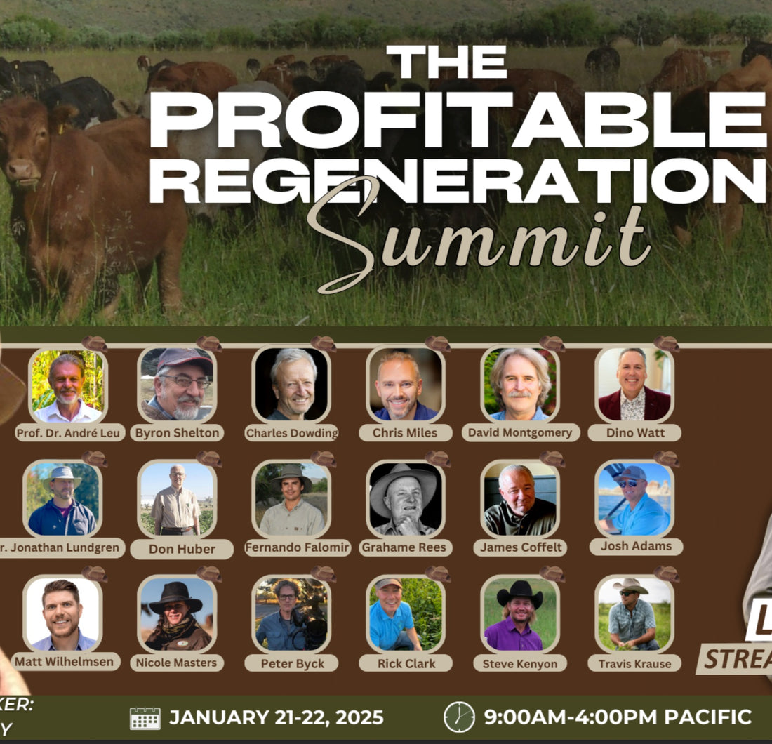 Profitable regeneration summit