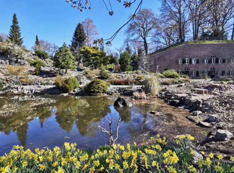 A lecture at the Botanical Gardens of Utrecht University, Netherlands