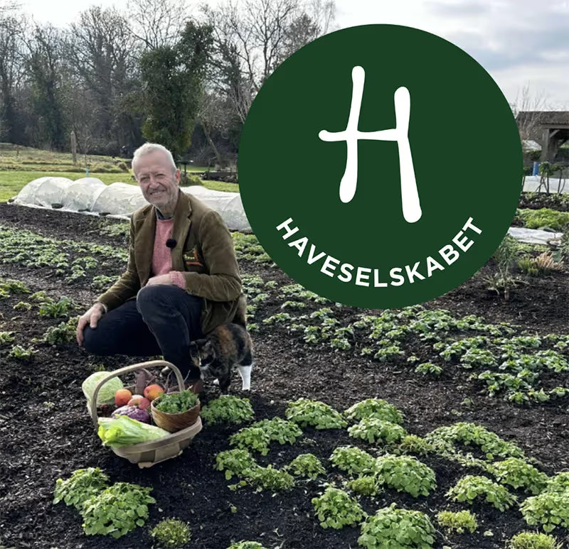 A workshop and lecture in Skanderborg, Denmark