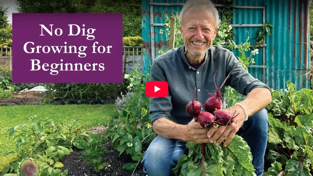 Succeed your growing with my new course