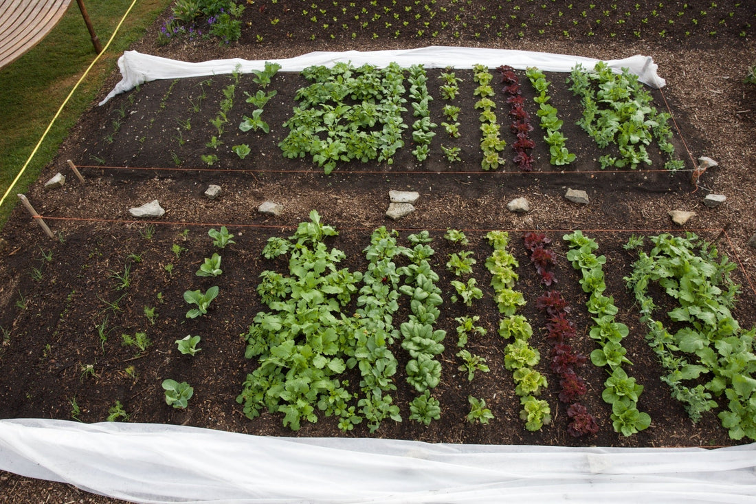 Easter and beyond 2025