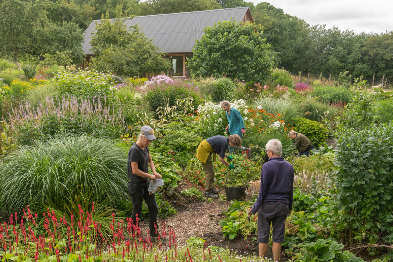A talk at the Serge Hill Project