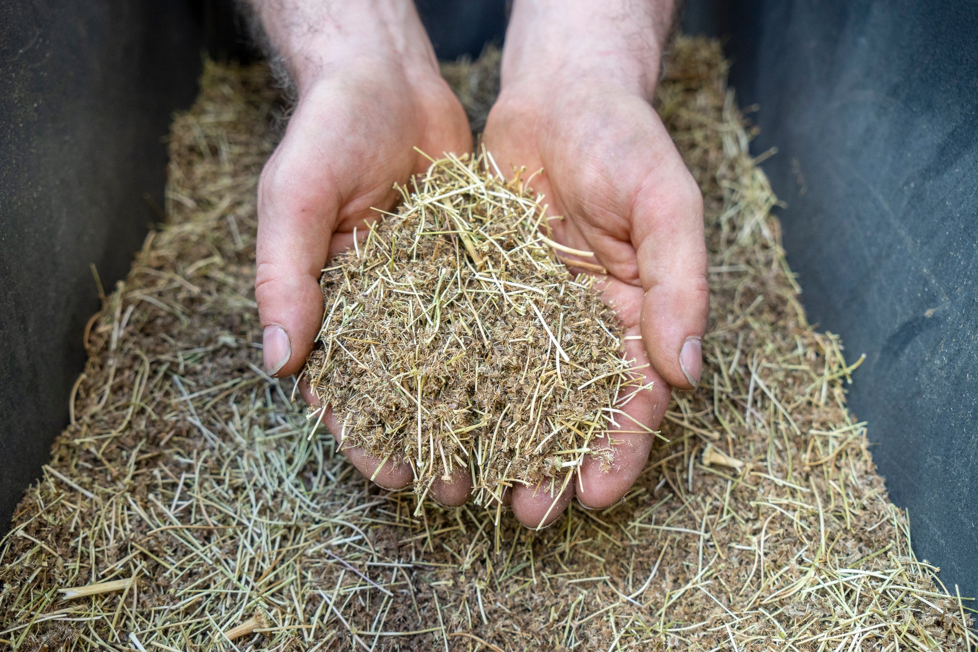 Two Days of workshops and talks at Bingenheimer Saatgut AG in Germany