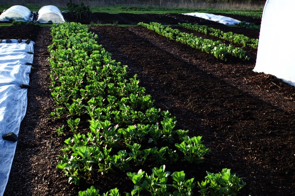 March 2026, spring arrives