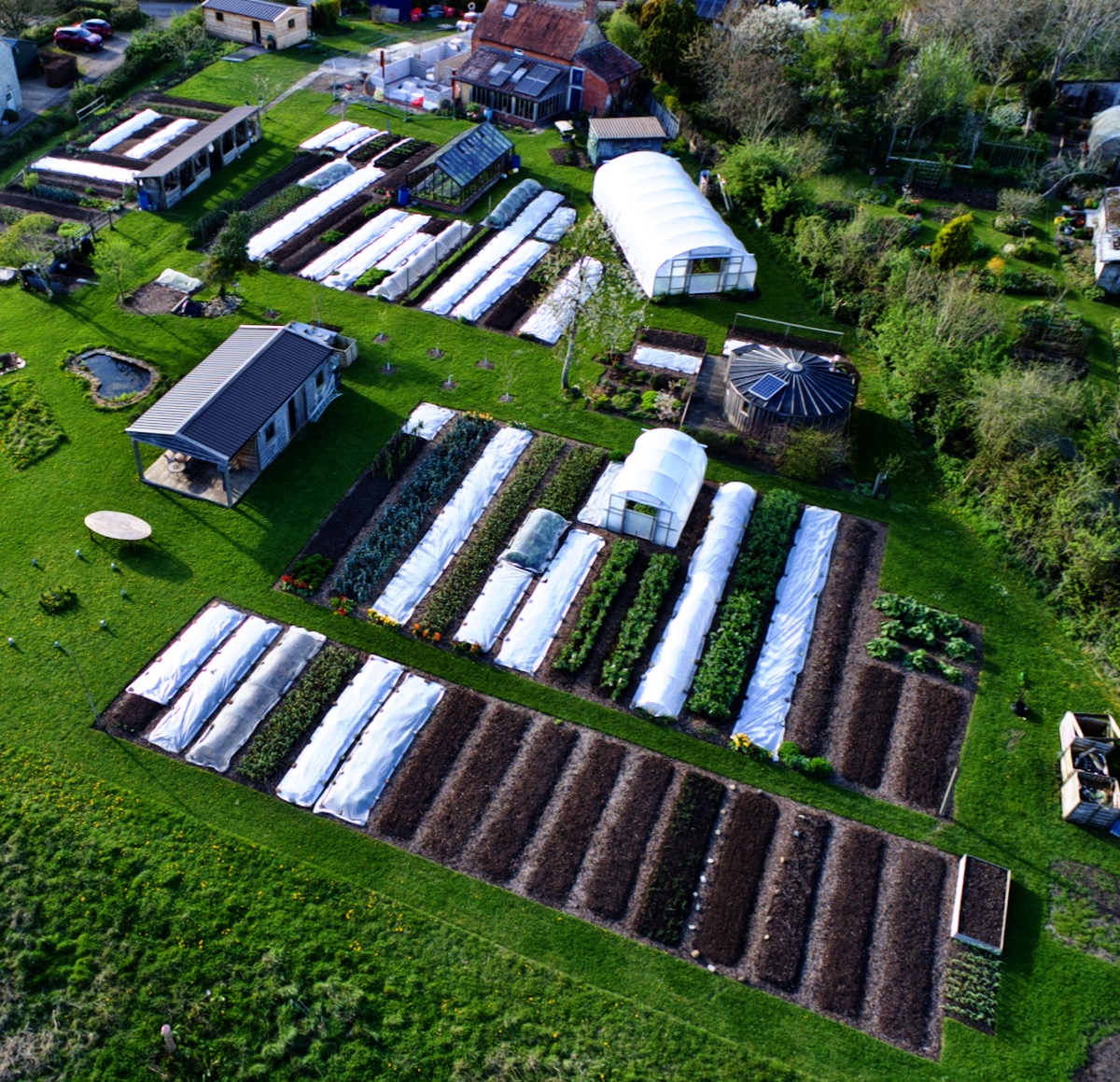 Spring Sowings Have Time to Catch Up