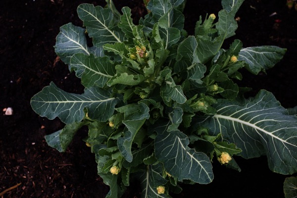 February, stirrings of life