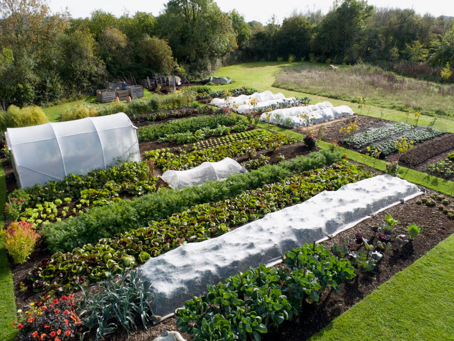 No dig garden by Charles Dowding, late September 2025