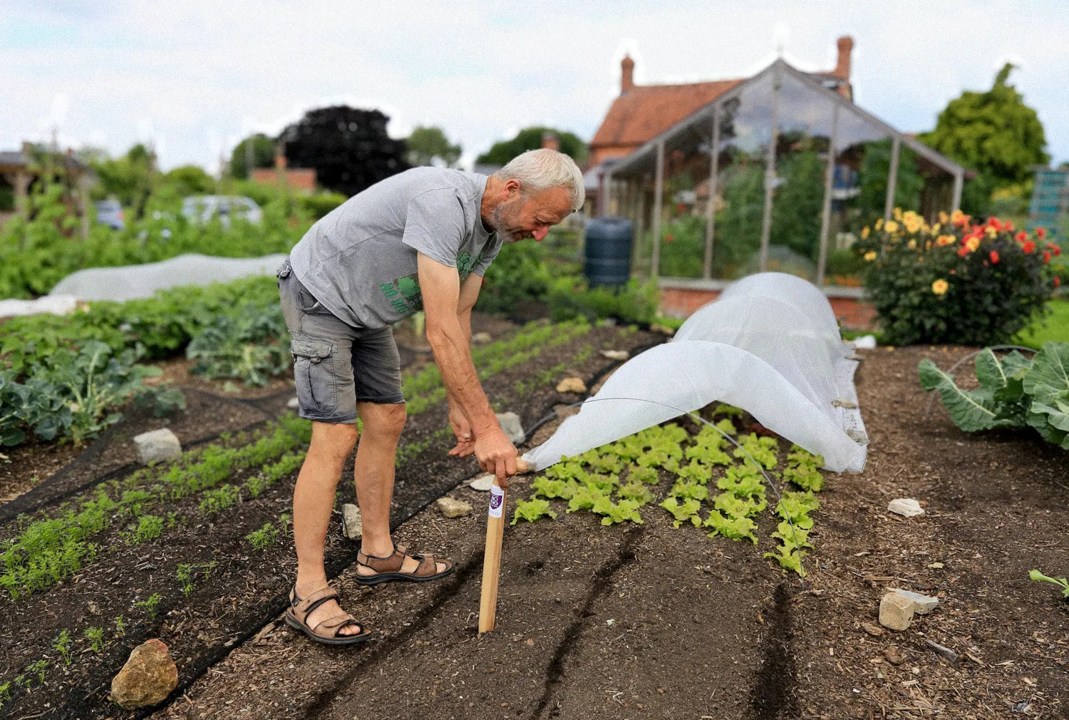 No Dig Growing for Beginners – Online Course