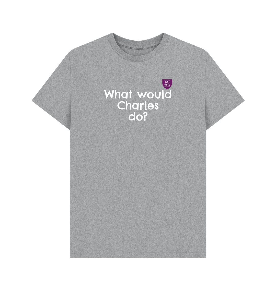 Athletic Grey Printed T-shirt Front