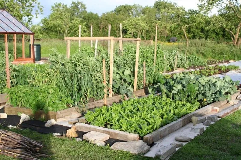 Gift Vouchers – Day Courses at Homeacres