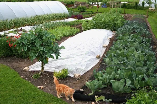 Pests and Diseases - Online Course