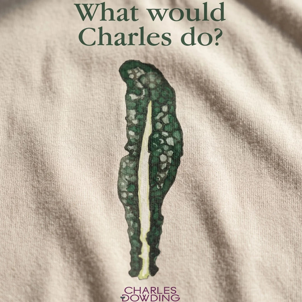 No Dig Kale 'What would Charles do?' Women's T-shirt