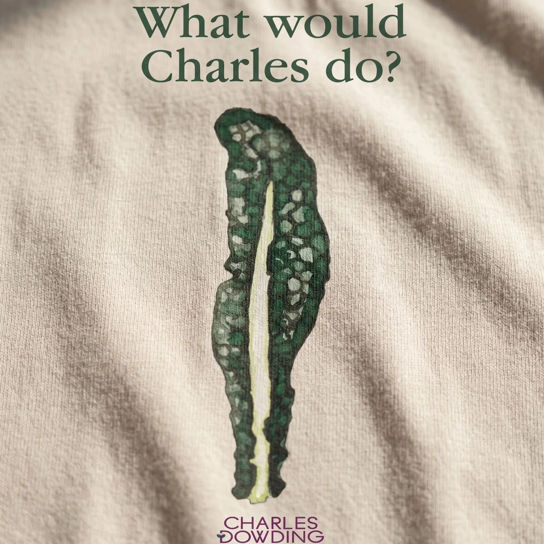 No Dig Kale 'What would Charles do?' Women's T-shirt