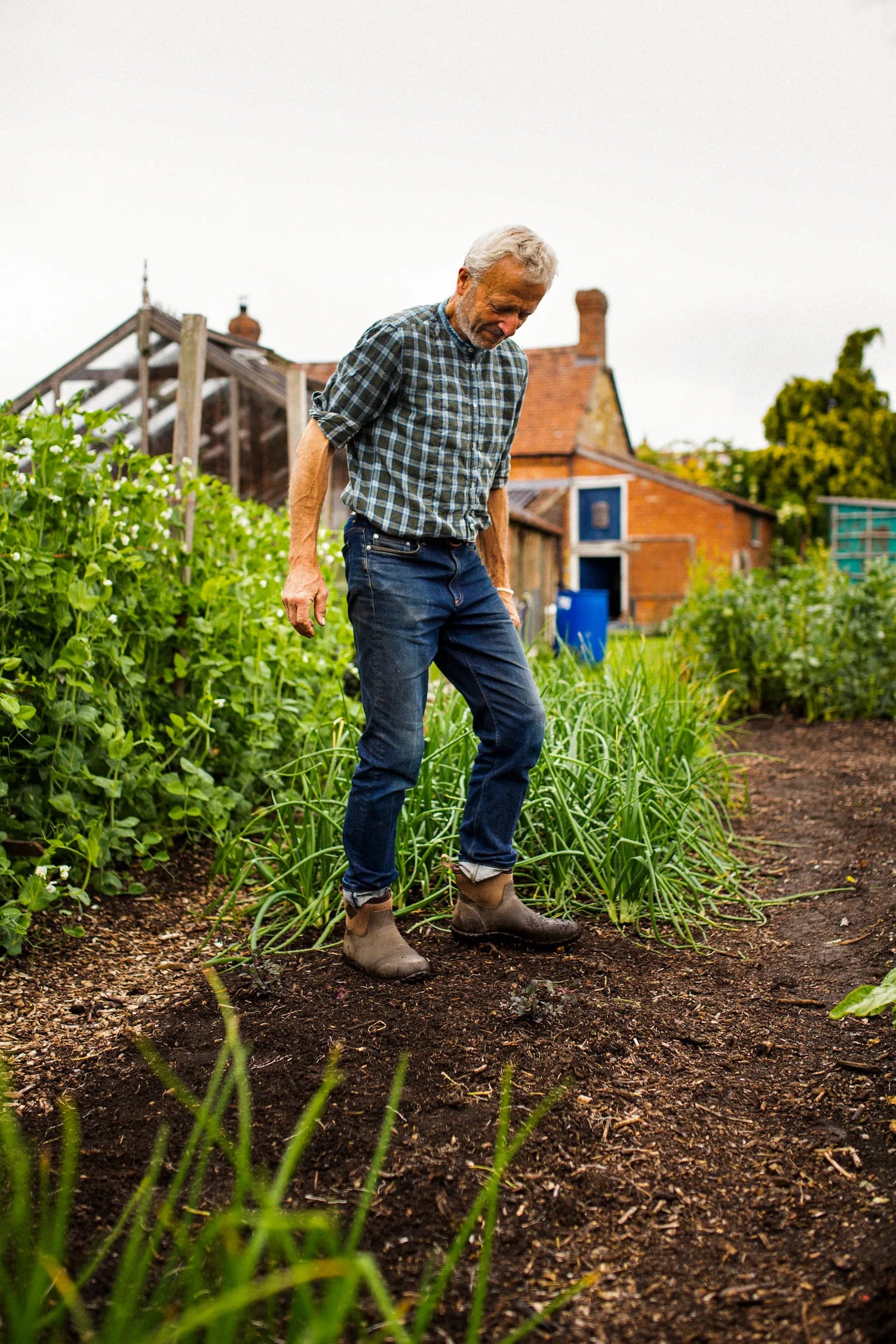 No Dig Growing for Beginners – Online Course