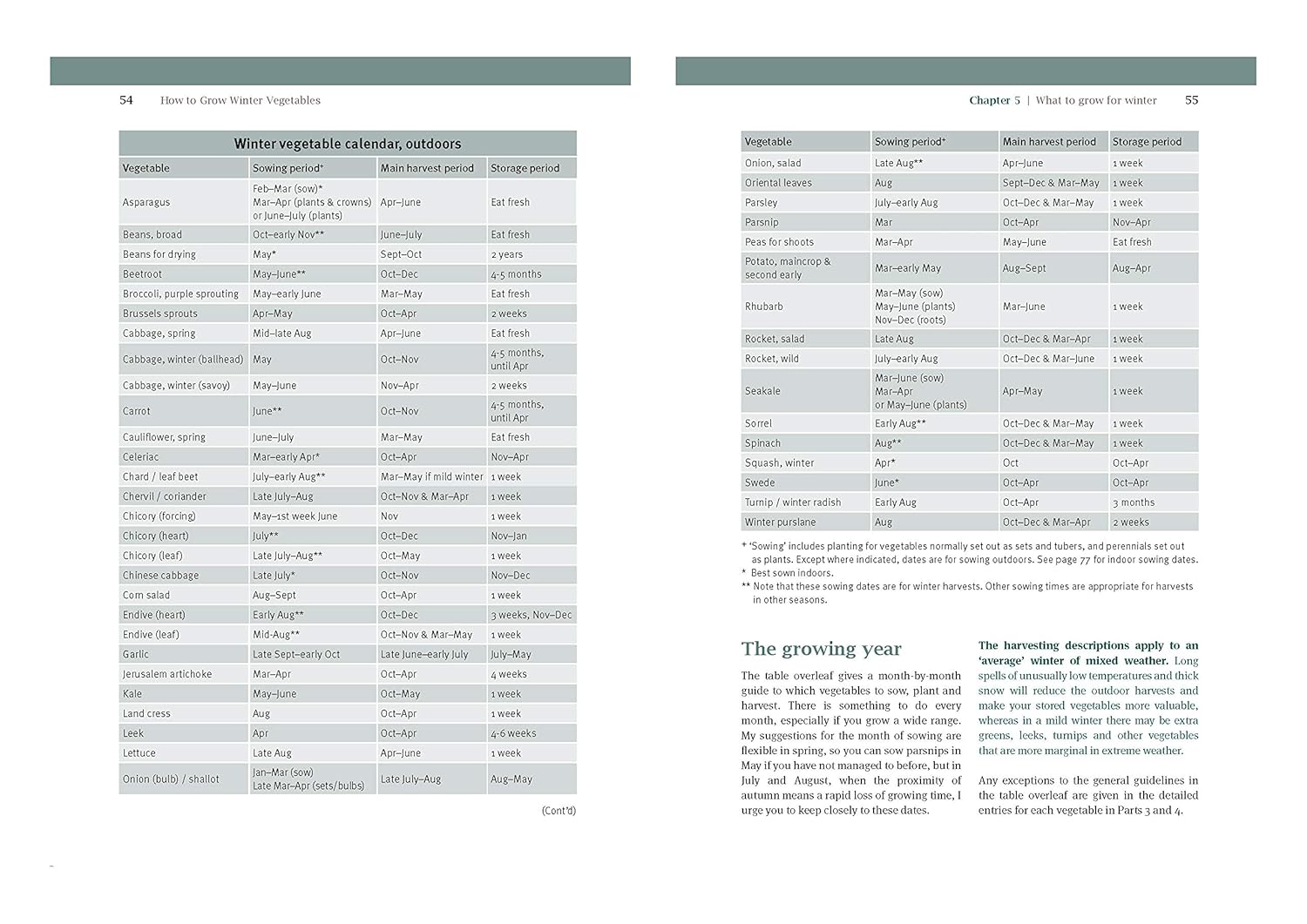 How to Grow Winter Vegetables: Planning and Planting for the Hungry Gap
